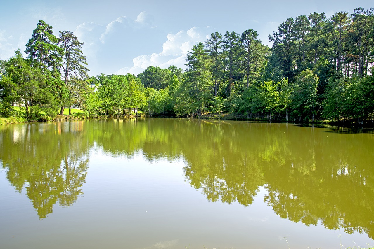 Atlanta Nature and Parks | Atlanta Nature | Atlanta Luxury Rentals